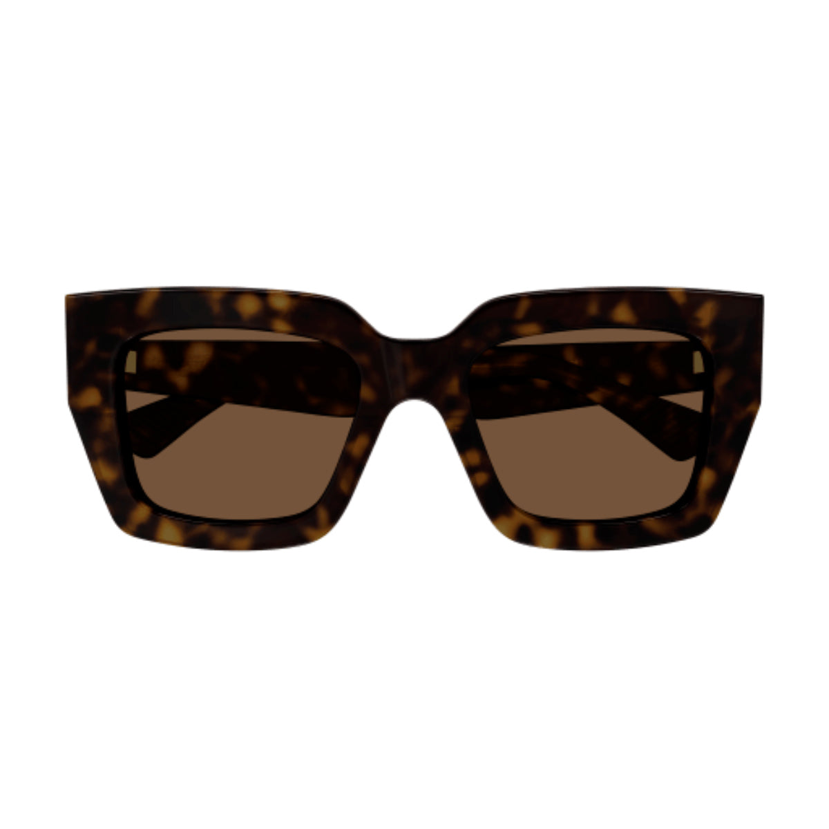 BV1212S 002 Marrone Acetate Occhiali Sole