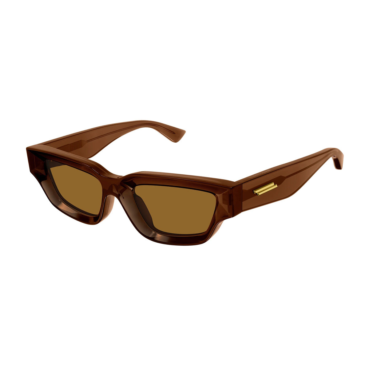 BV1250S 004 Marrone Injected Occhiali Sole