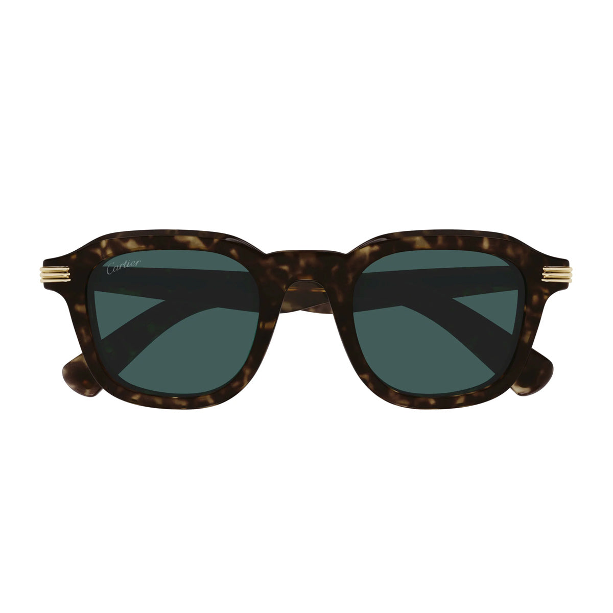 Cartier CT0536S Première de 002 Havana Green Marrone Acetate Occhiali Da Sole