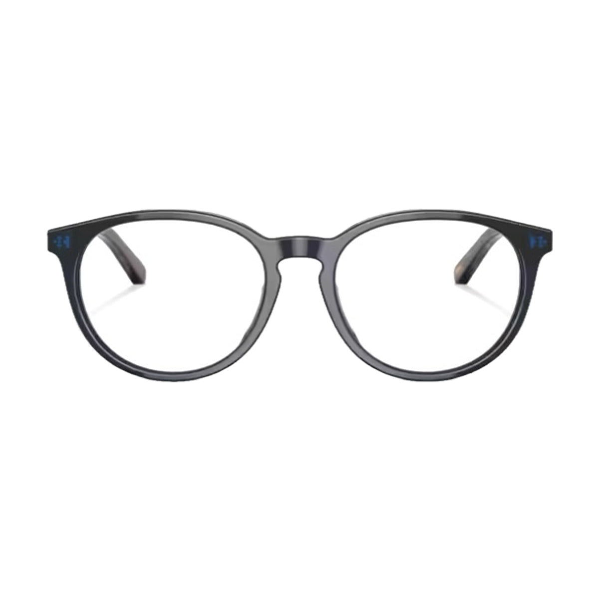 Polo Prep PP8544U 5470 Blu Trasparente-Havana Acetate Occhiali Da Vista