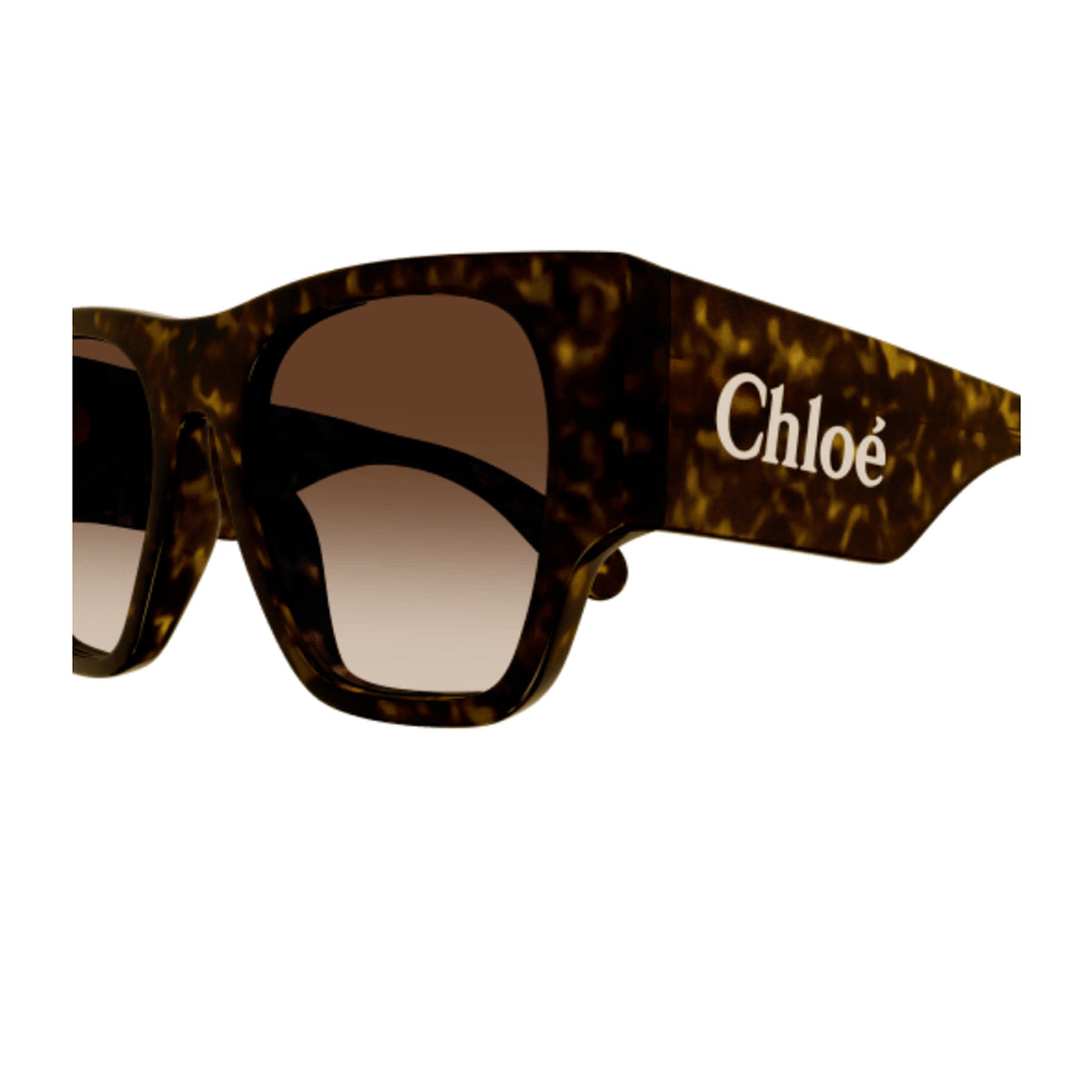 Chloé CH0233S Linea 002 Havana Brown Marrone Acetate Occhiali Da Sole