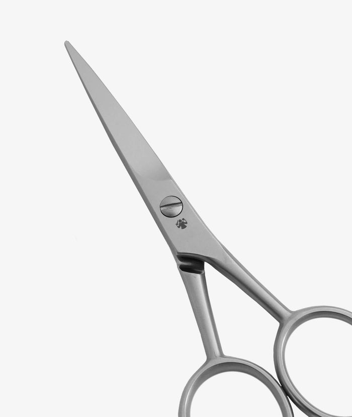 Barber Scissor Silver Shawing