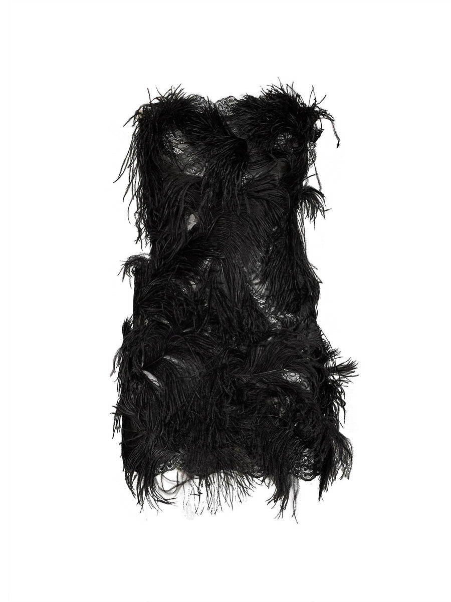 Strapless Mini Dress Black Lace & Feather