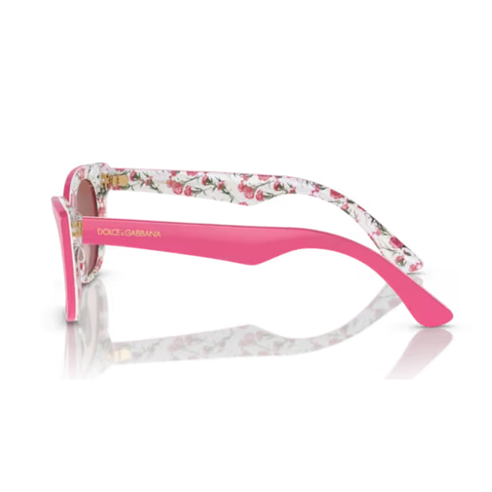 DX4427 3207-Z Rosa Celluloid Occhiali Sole