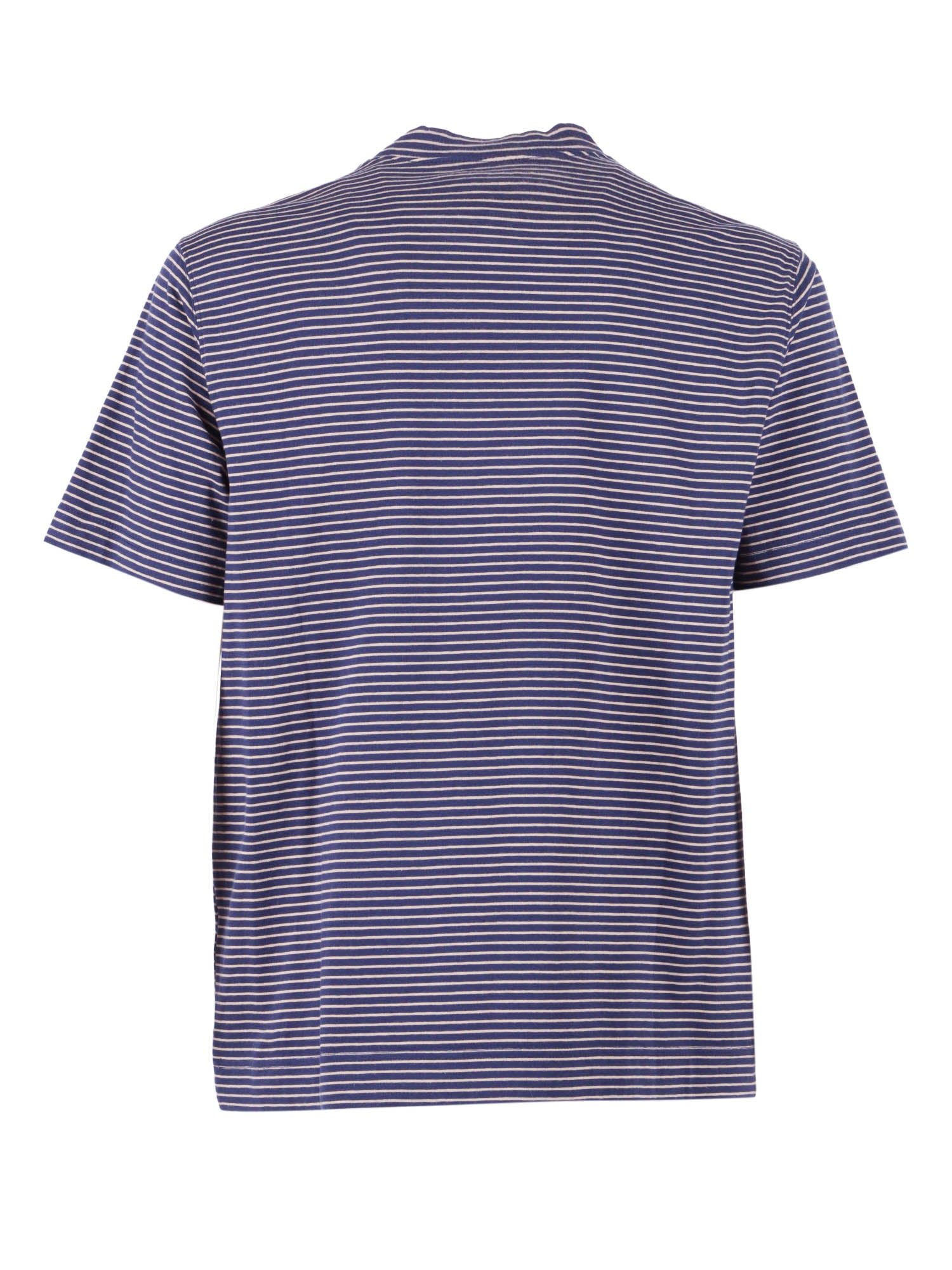 T-Shirt Cotton Blue Cotton� M-c