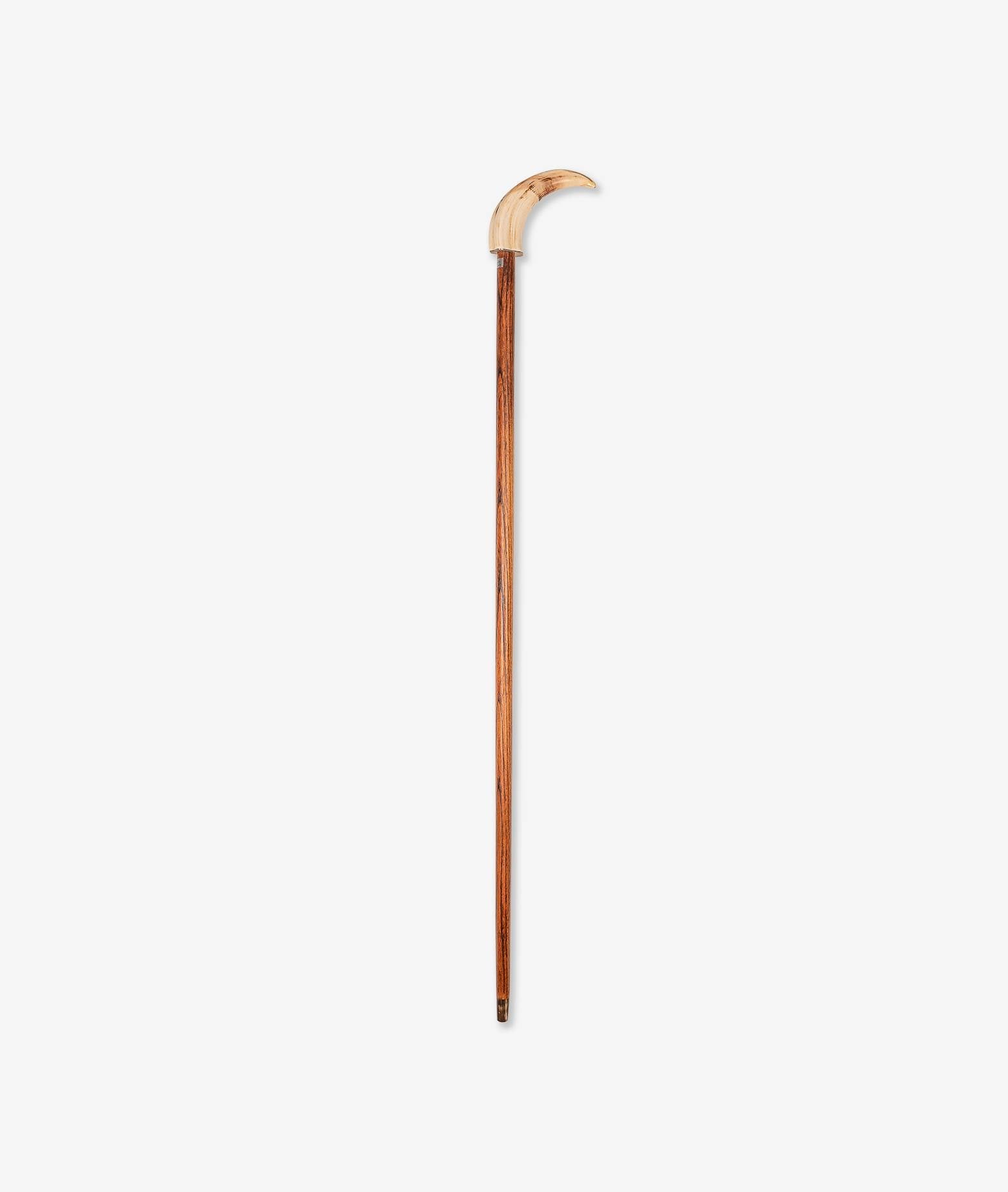 Walking Stick Chaucer Neutral Sticks