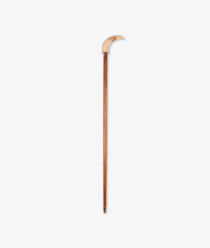 Walking Stick Chaucer Neutral Sticks