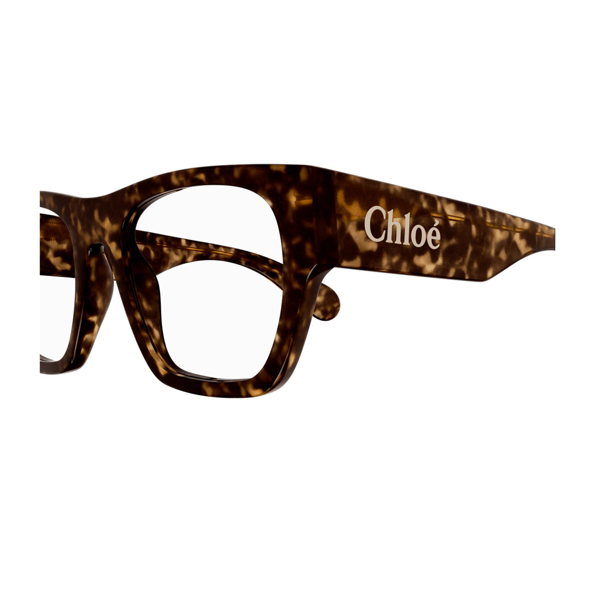 Chloé CH0250O Linea 002 Havana Marrone Acetate Occhiali Da Vista