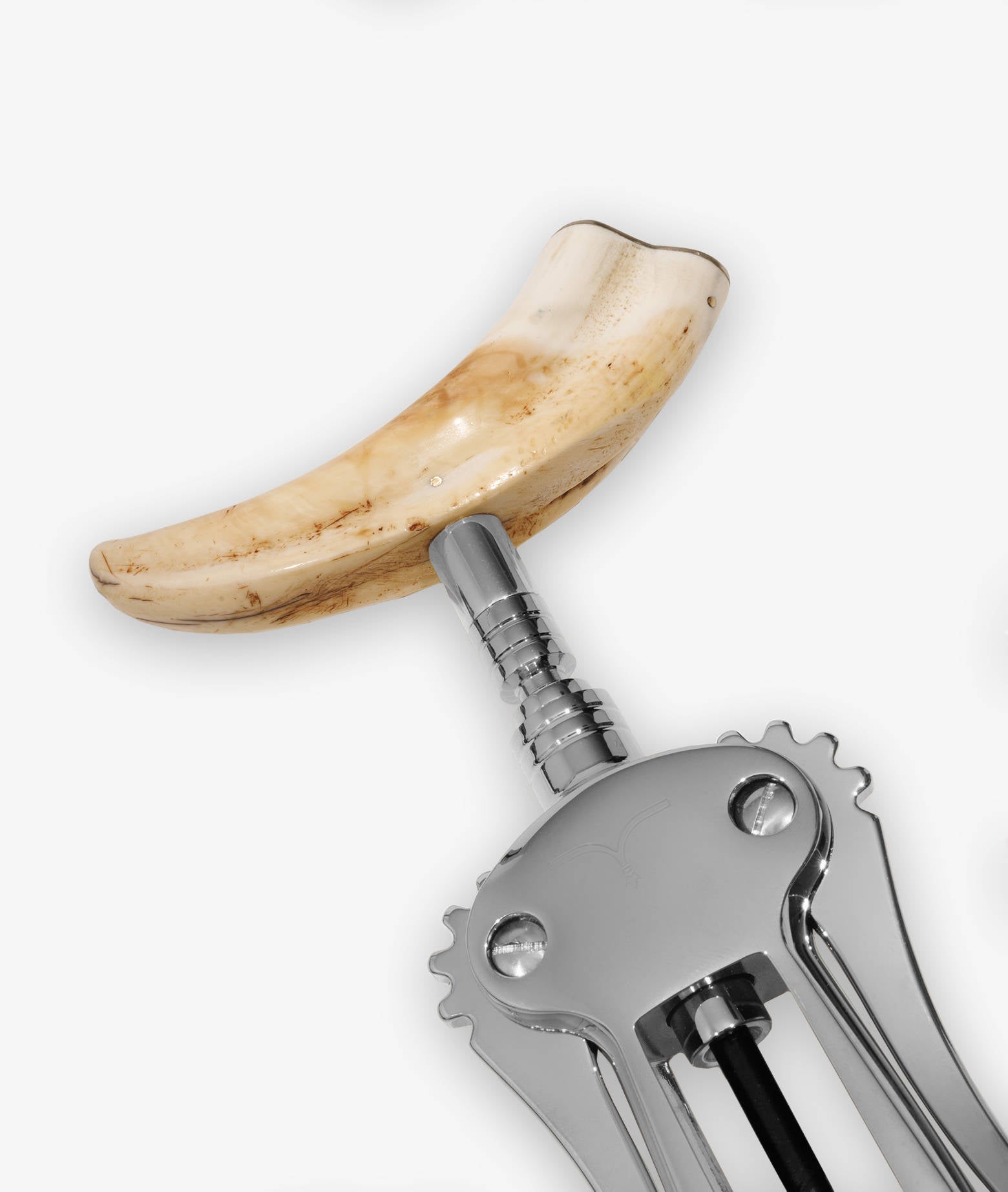 Corkscrew Zibibbo Lightgray