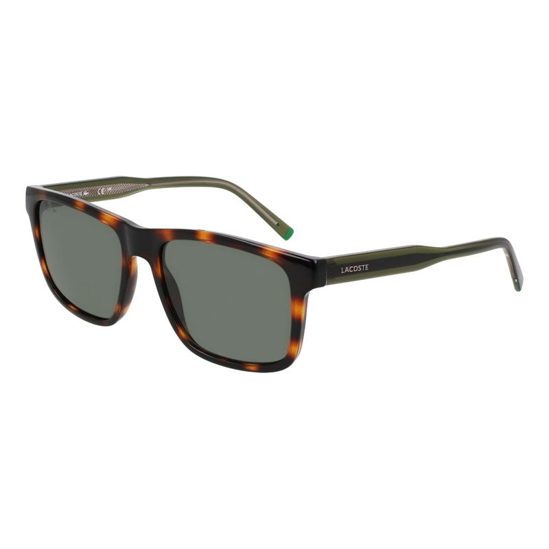 , Frame And Lens Brown Sunglasses