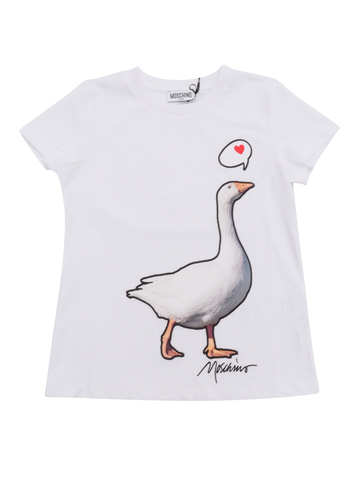 SHORT SLEEVED T-SHIRT White Cotton Sleeves