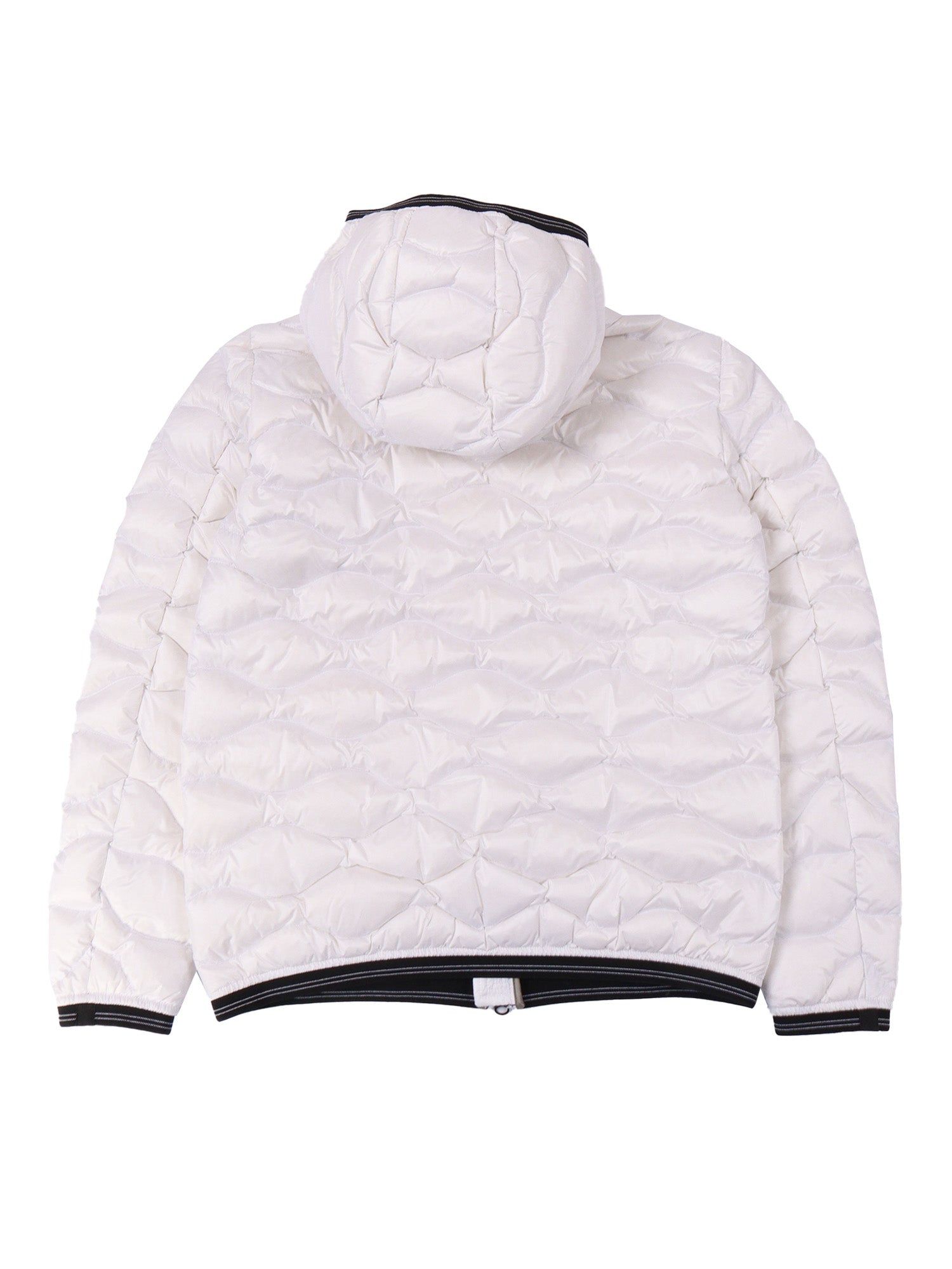 BRINTON JUNIOR DOWN JACKET White Polyamide Short Puffer
