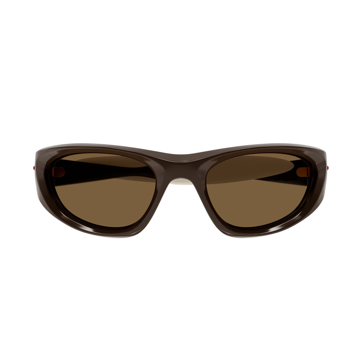 BV1184S Marrone Celluloid Occhiali Sole