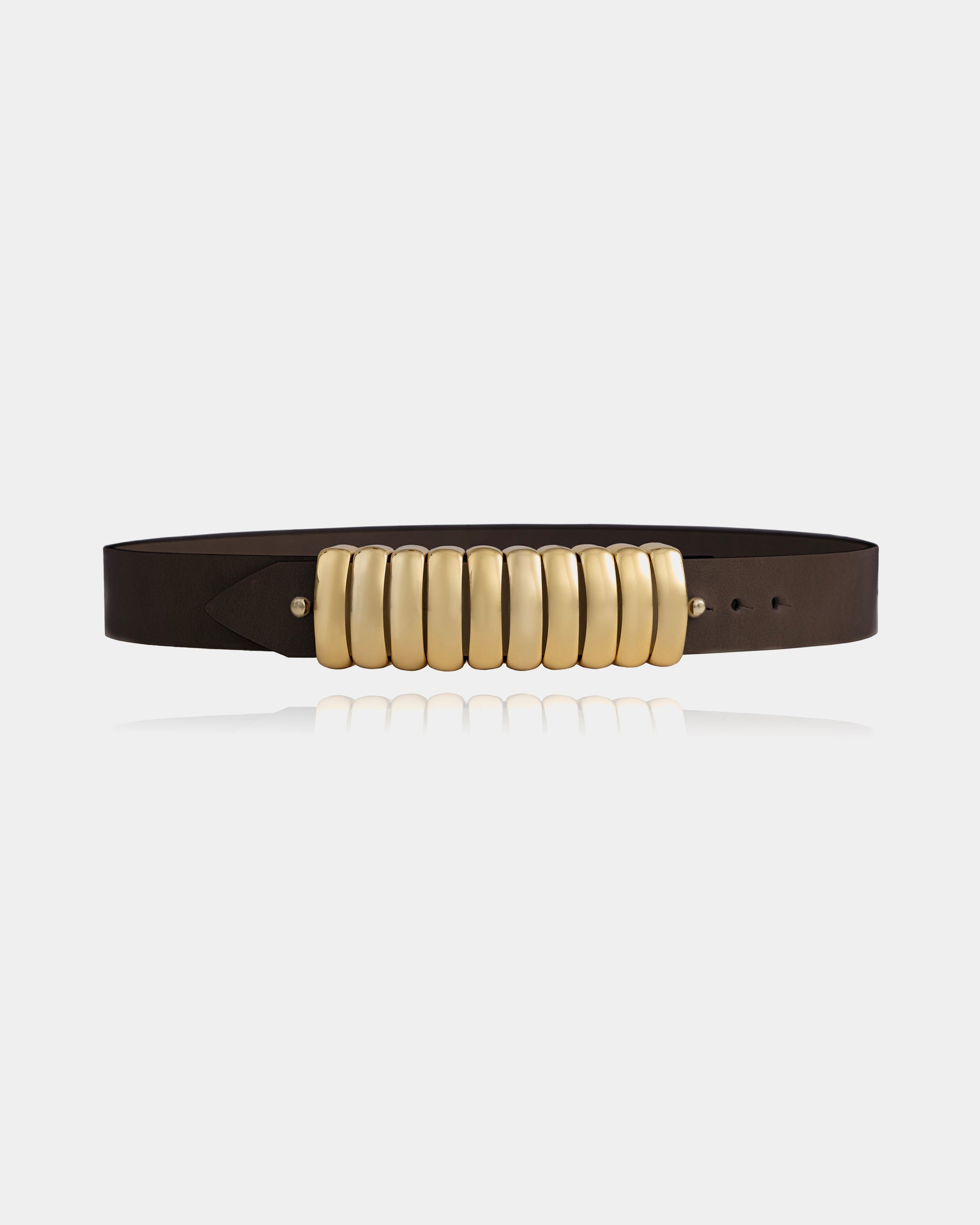 Bold Belt Gold Brown +