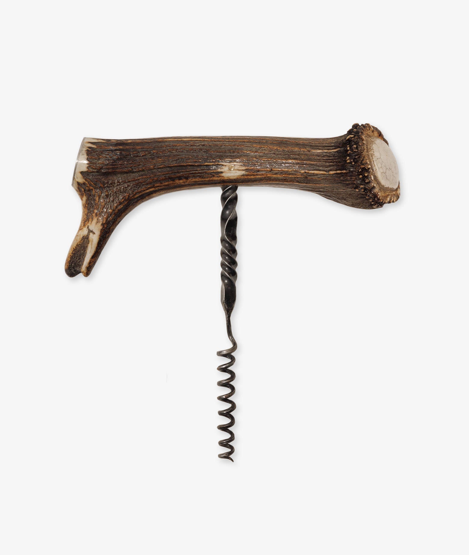 Corkscrew Giant Deer Brown
