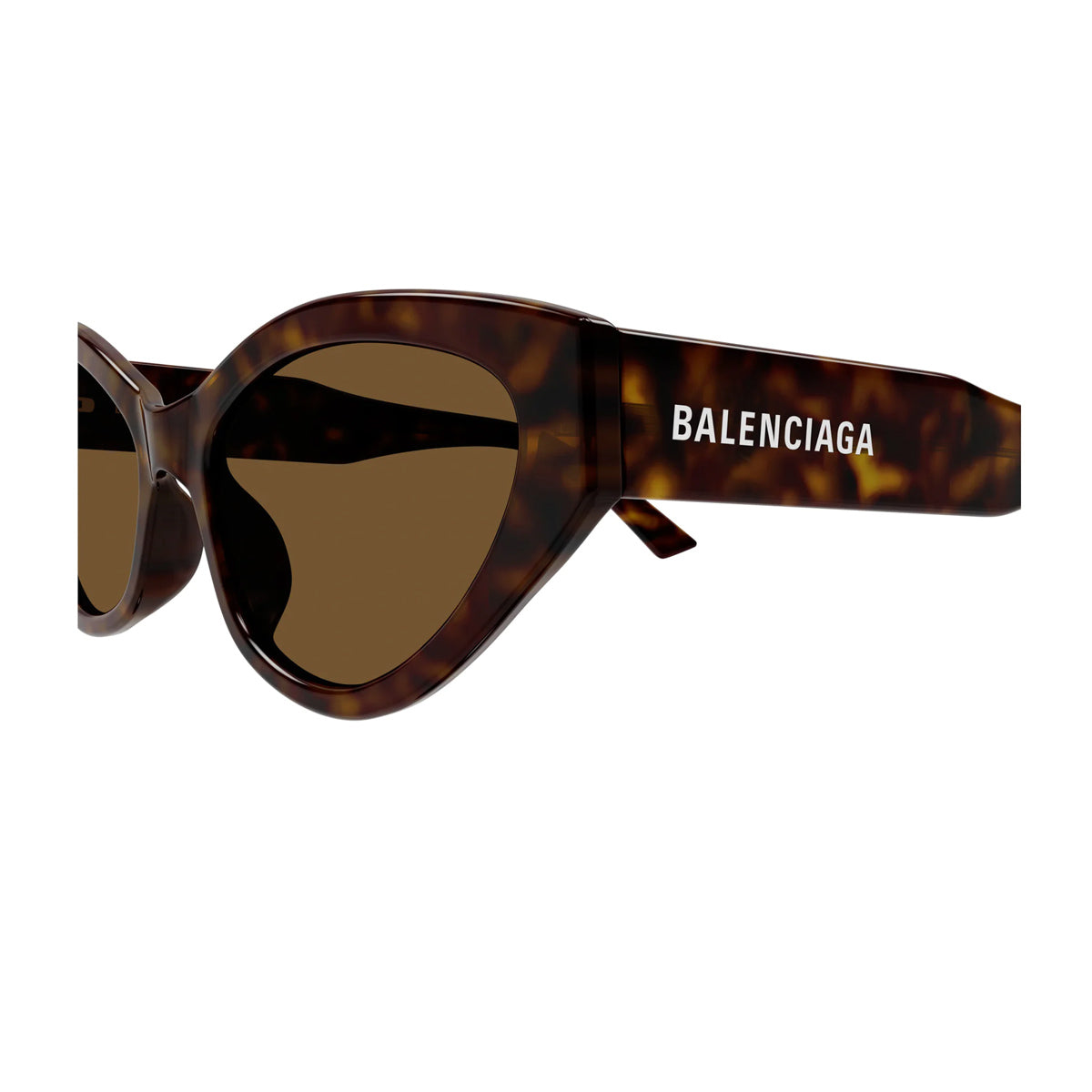 BB0306S 002 Marrone Acetate Occhiali Sole