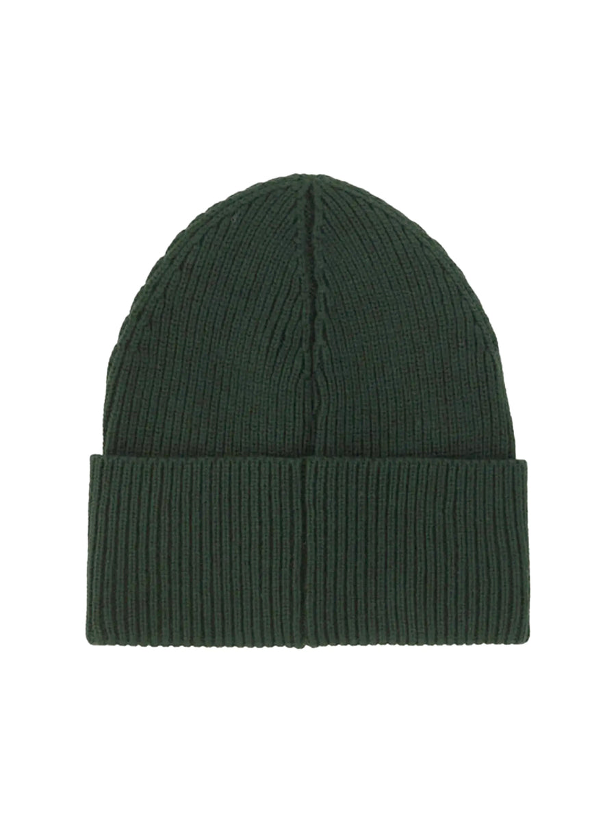 Palm Angels PMLC030F23KNI0015676 Logo-Embroidered Wool Beanie — Green