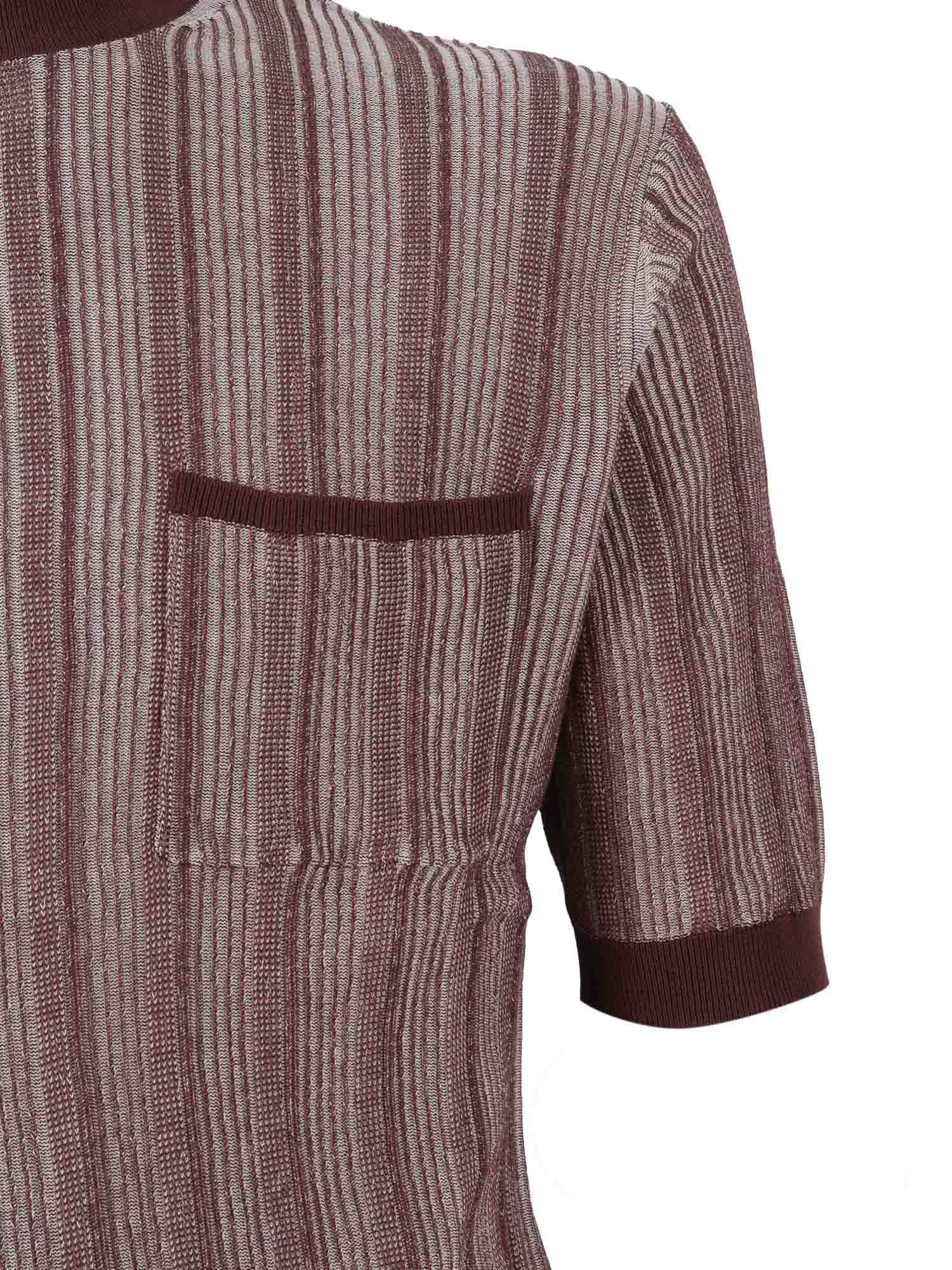 SHORT SLEEVES POLO Brown Cotton