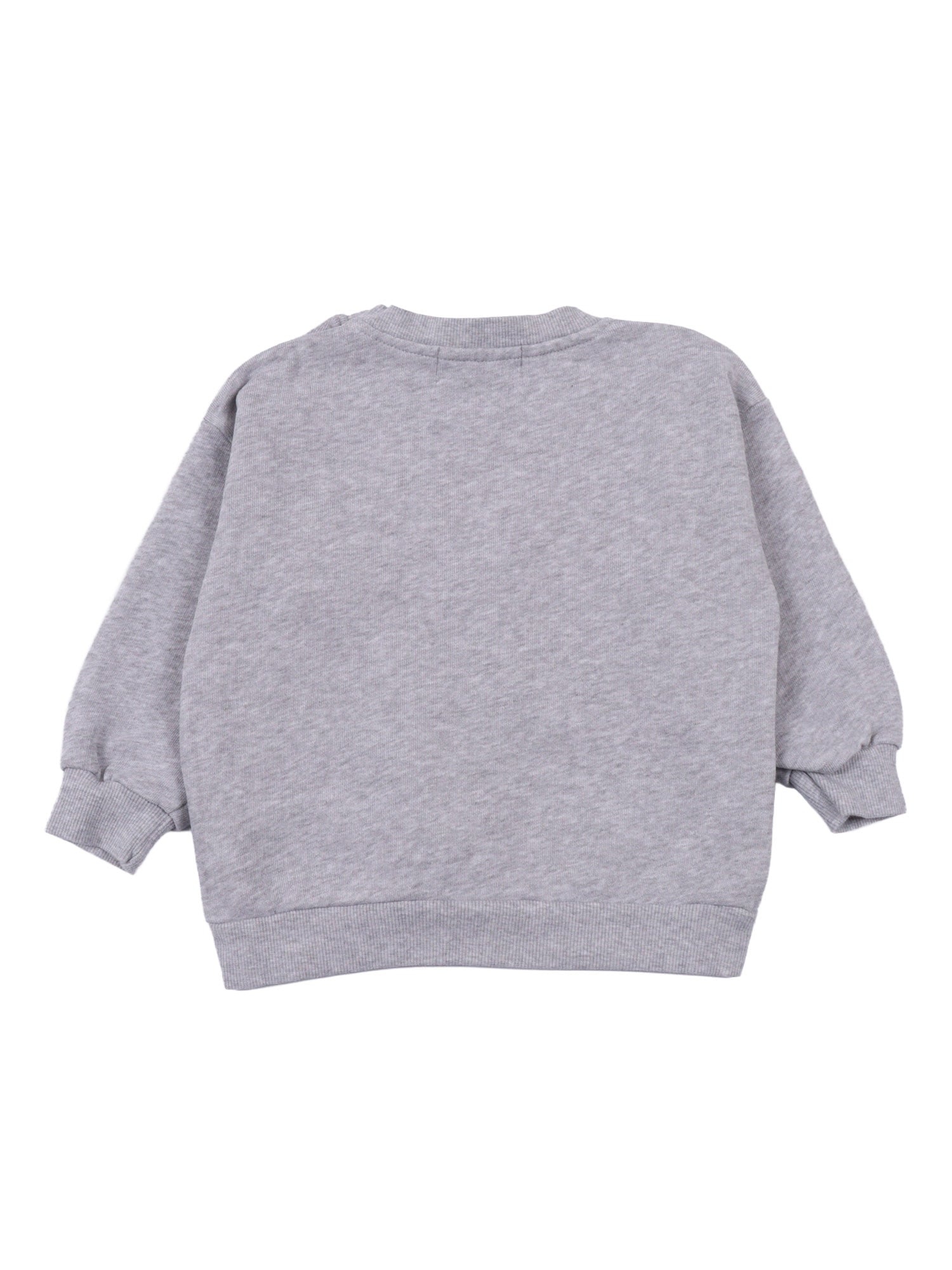 Friends in a Pickle sweatshirt Grey Organic Cotton