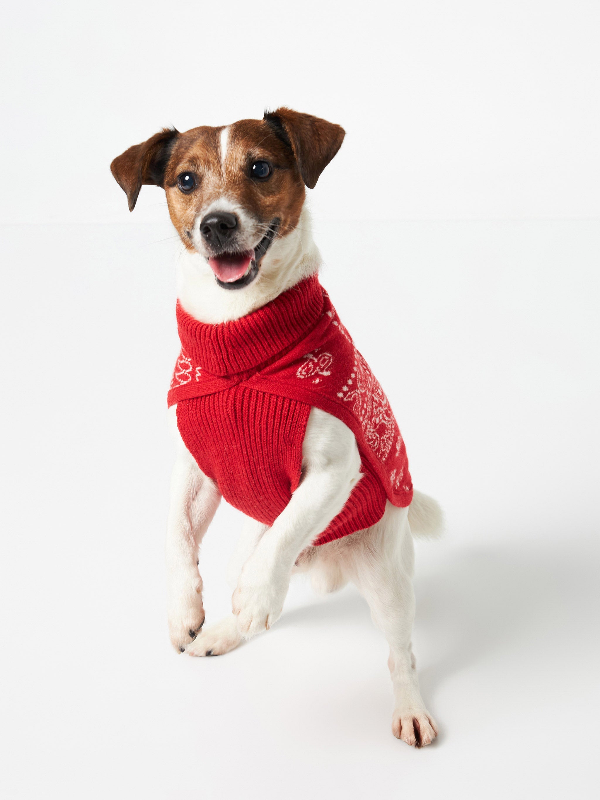 Dog Sweater With Bandanna Jacquard Red