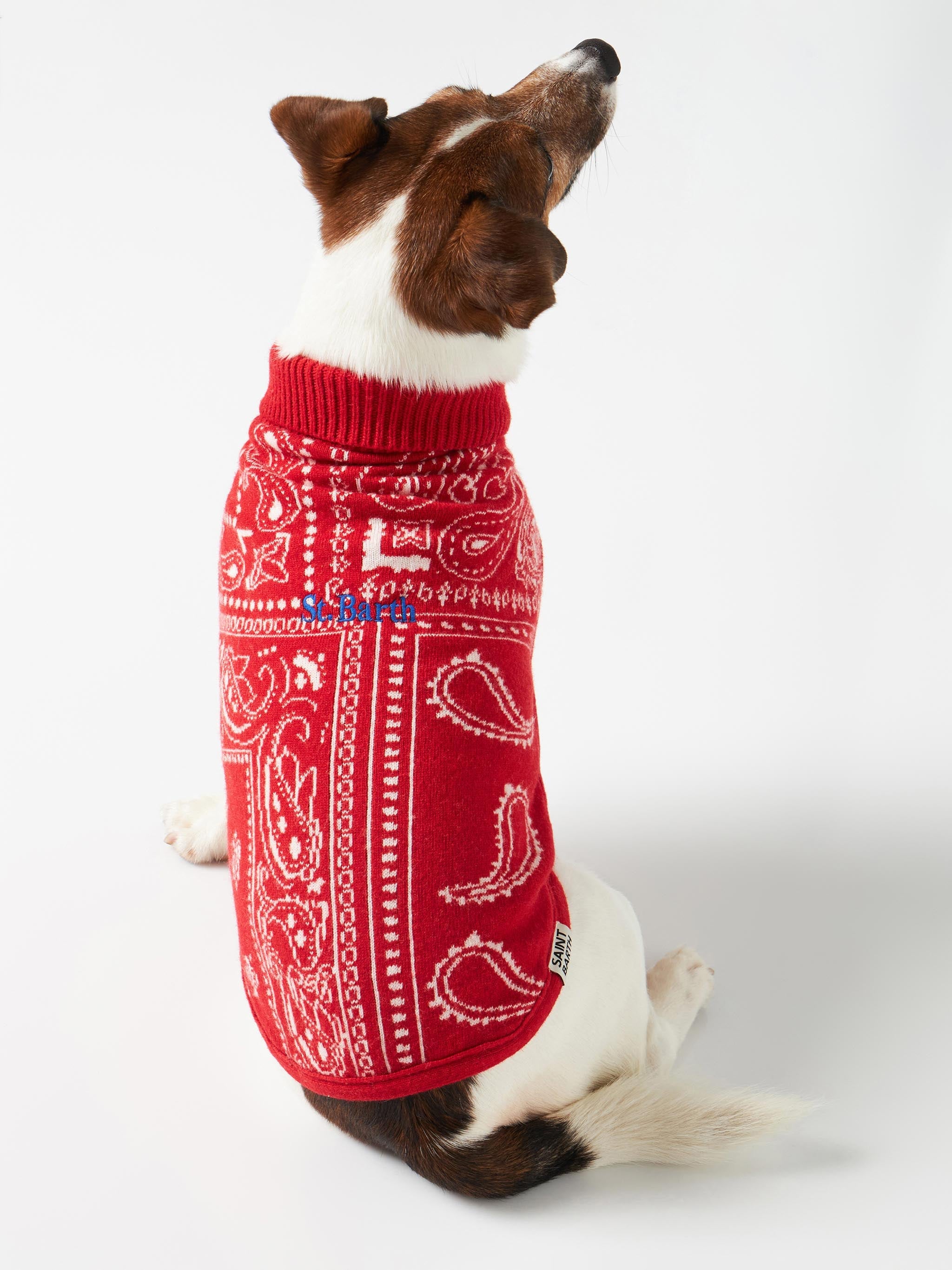 Dog Sweater With Bandanna Jacquard Red