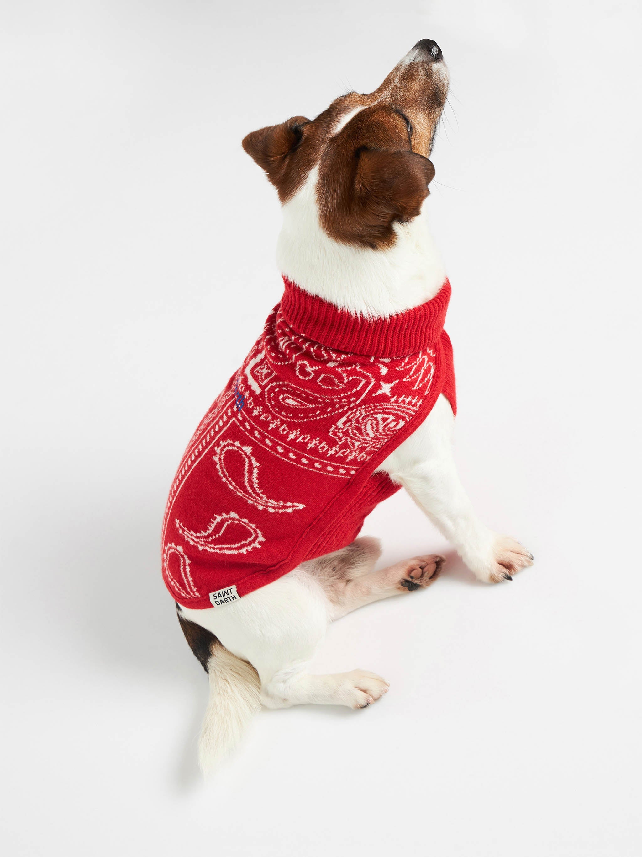 Dog Sweater With Bandanna Jacquard Red