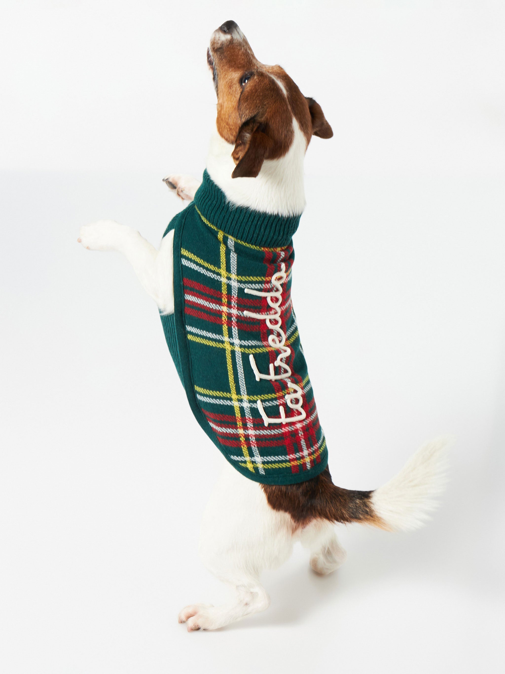 Dog Sweater With Tartan Jacquard Green