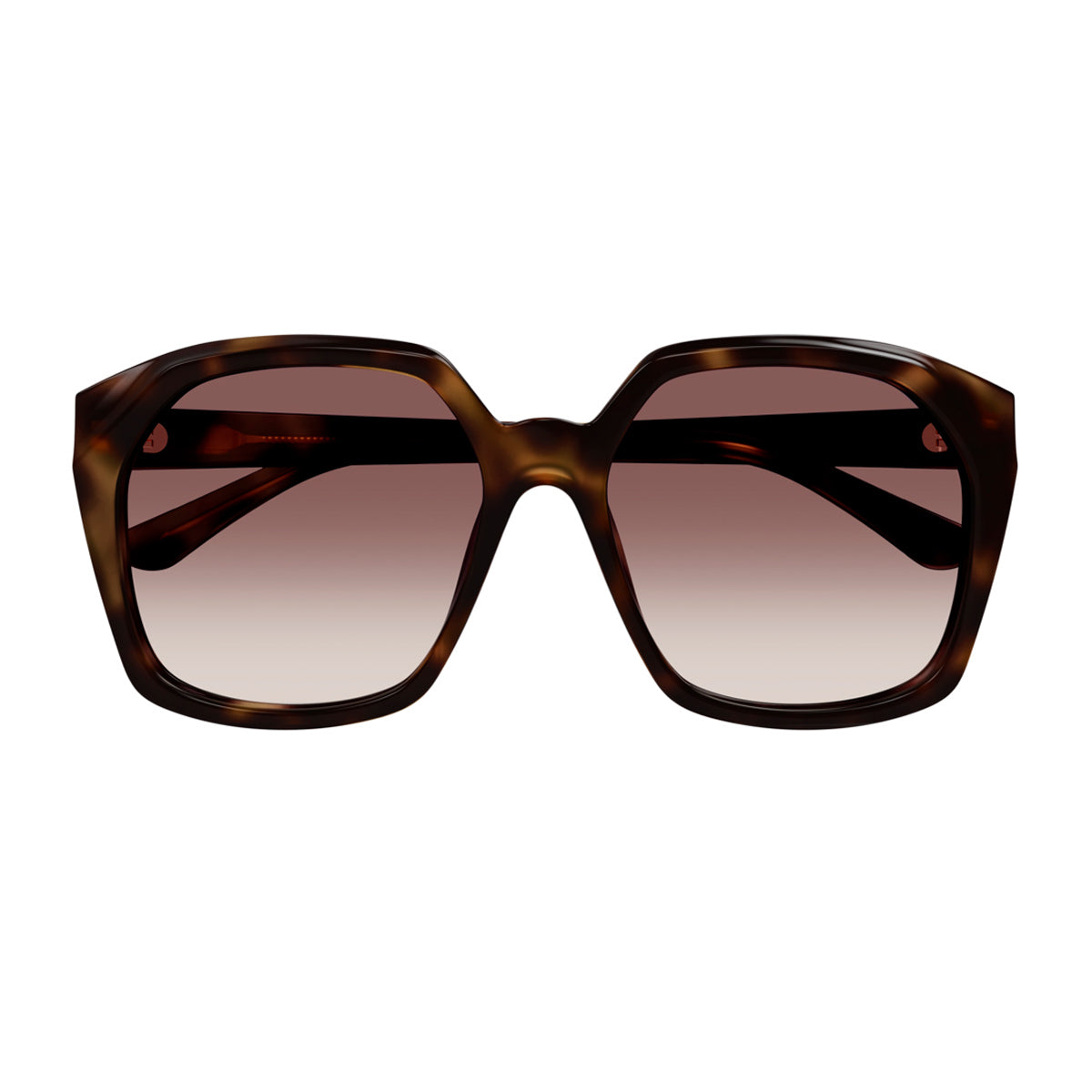 Chloé CH0280S Linea 006 Havana Red Marrone Acetate Occhiali Da Sole