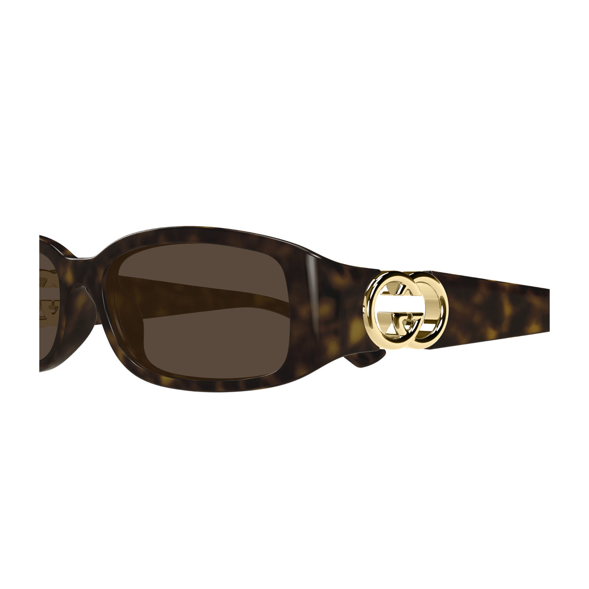 Gucci GG1661S Linea GG Logo 002 Havana Brown Marrone Injected Occhiali Da Sole