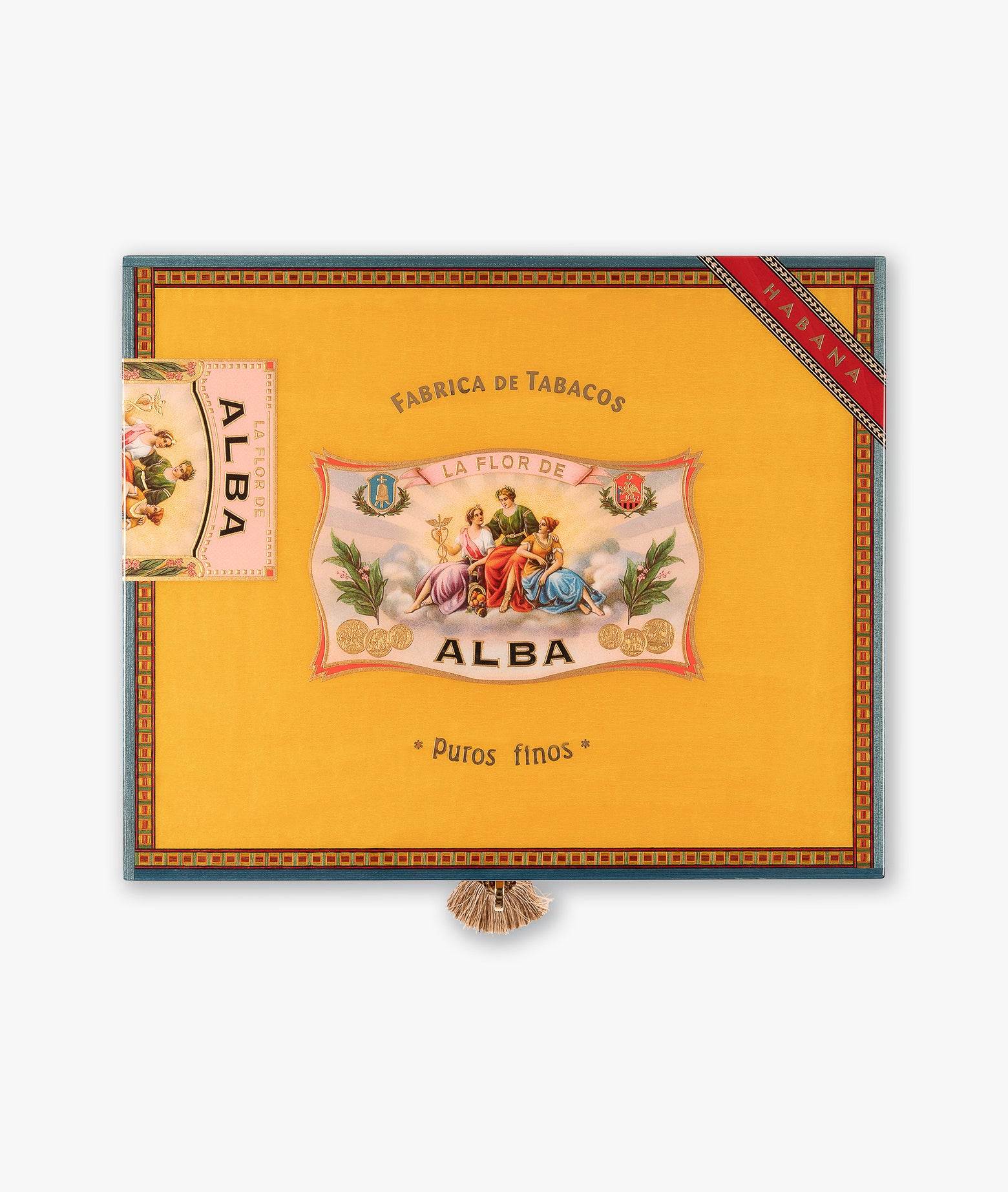 Humidor Alba - Yellow Neutral