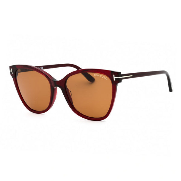 , Frame And Lens Brown Sunglasses