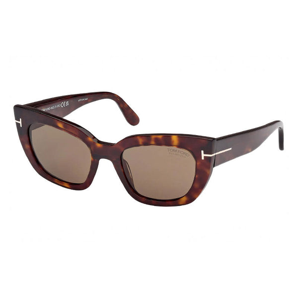 , Frame And Lens Brown Sunglasses