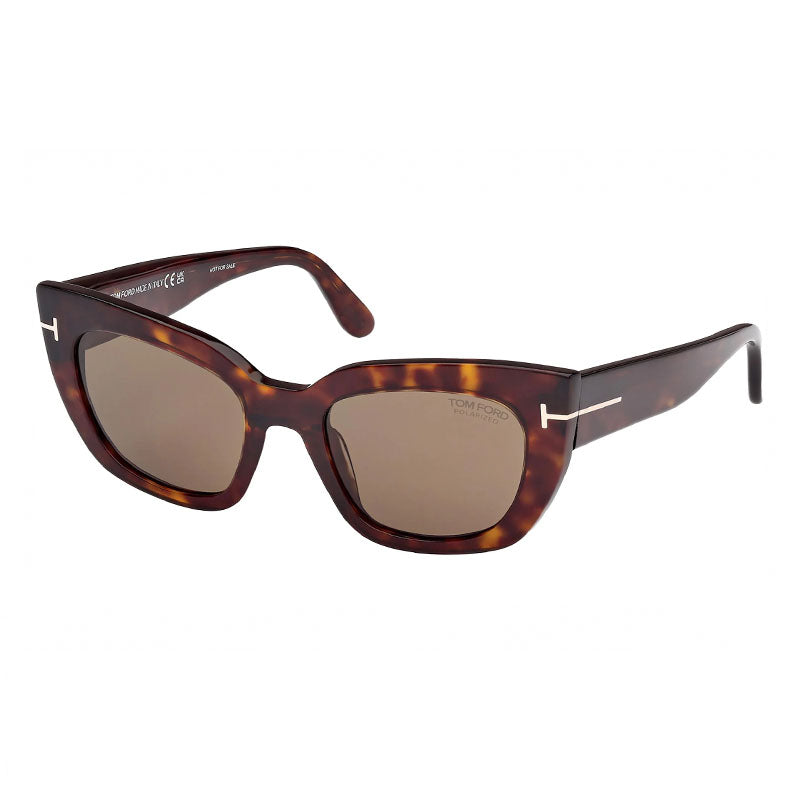 , Frame And Lens Brown Sunglasses