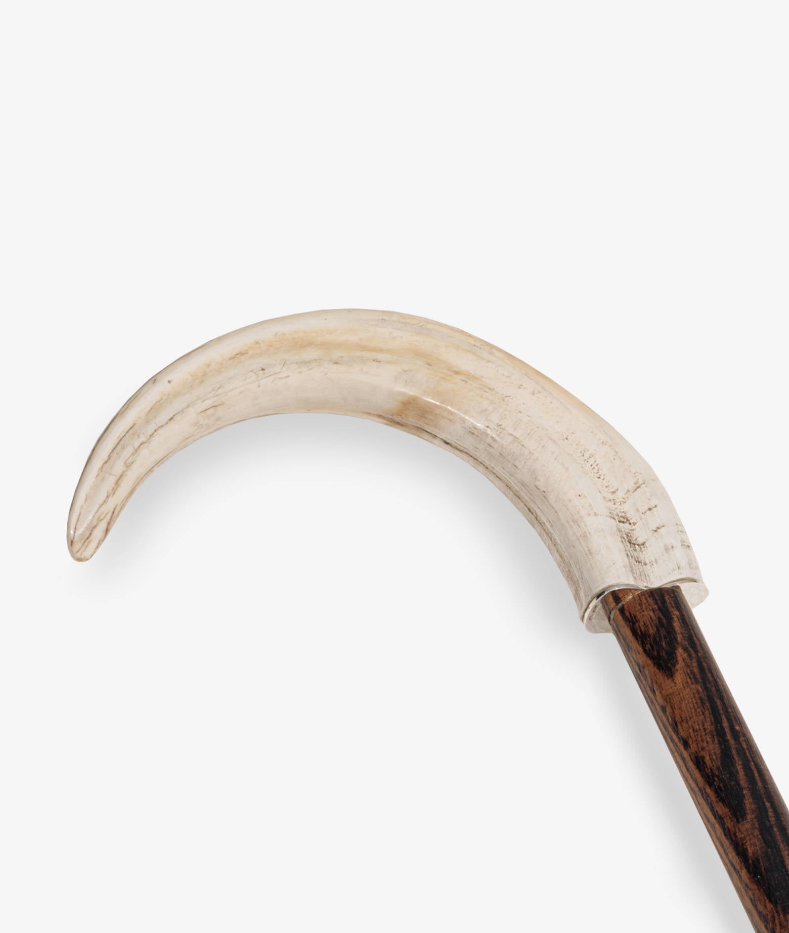 Walking Stick Montague Brown Sticks