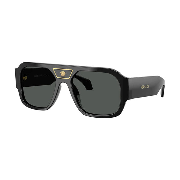 Versace VE4508U Acetate sunglasses in black