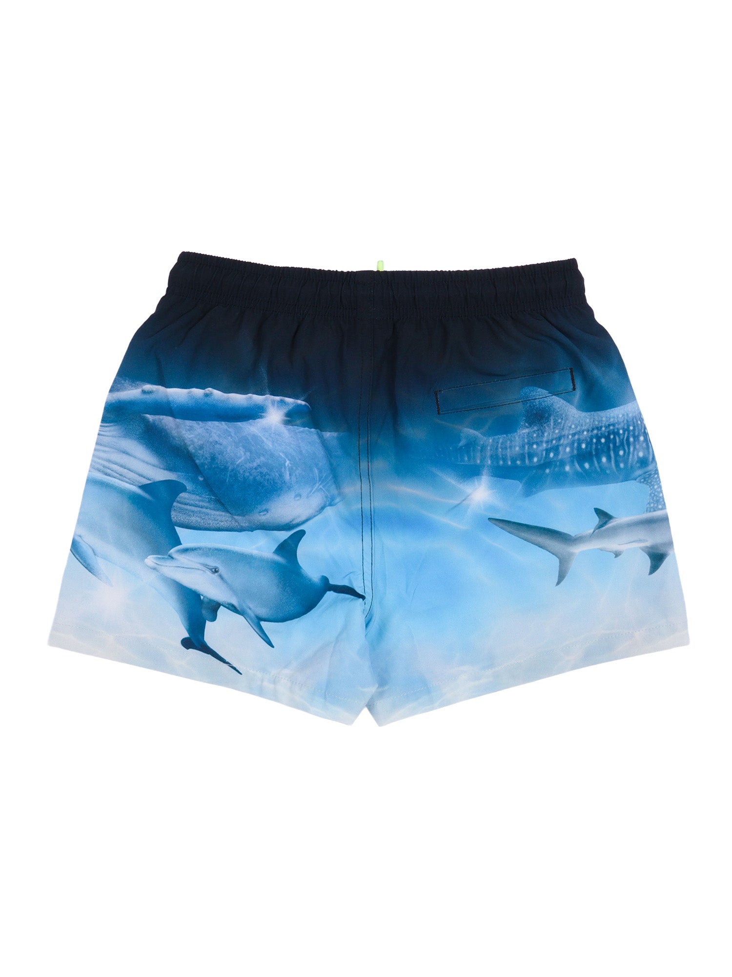 Niko Boardies Blue Costume