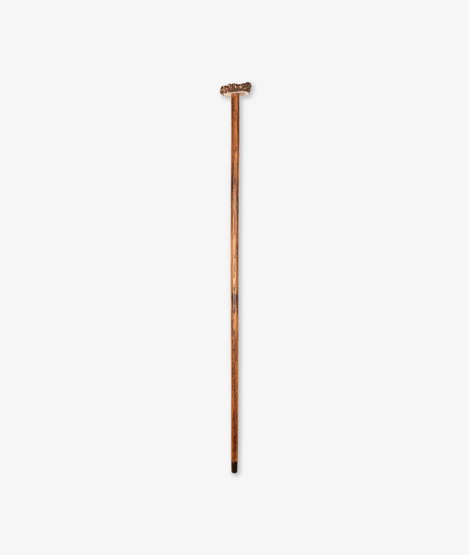 Walking Stick Neutral Sticks