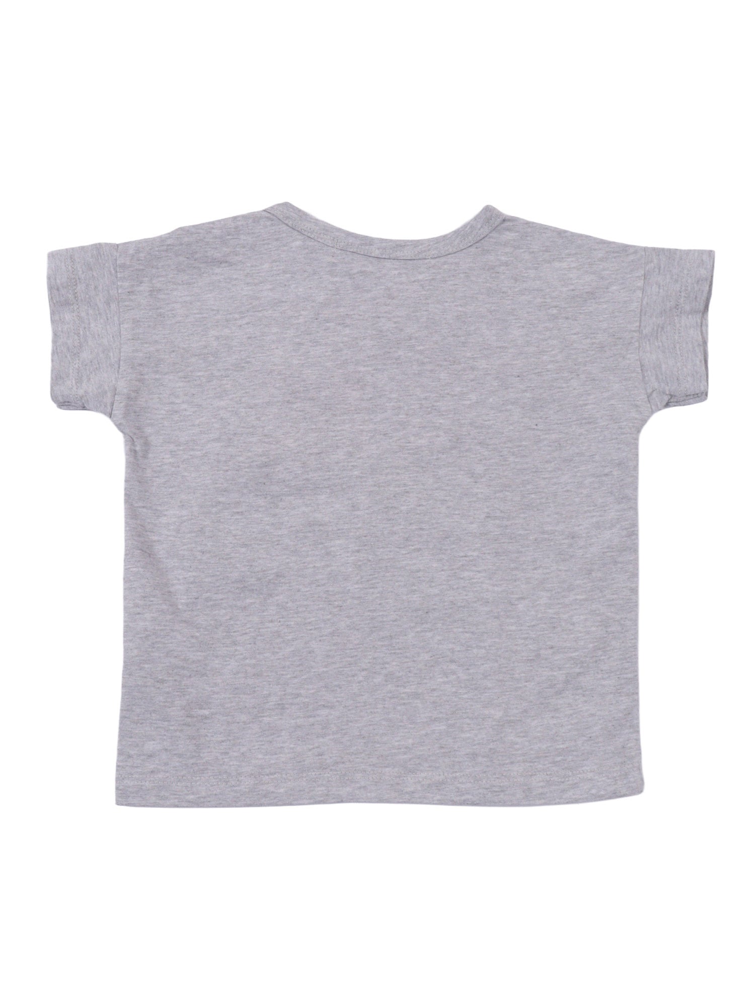 Friends In A Pickle T-shirt Grey Organic Cotton Short Sleeves