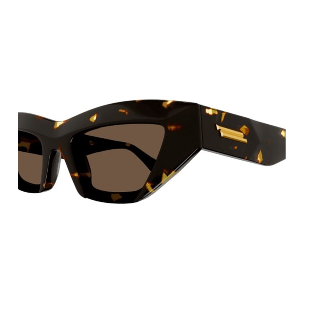 BV1219S Marrone Celluloid Occhiali Sole