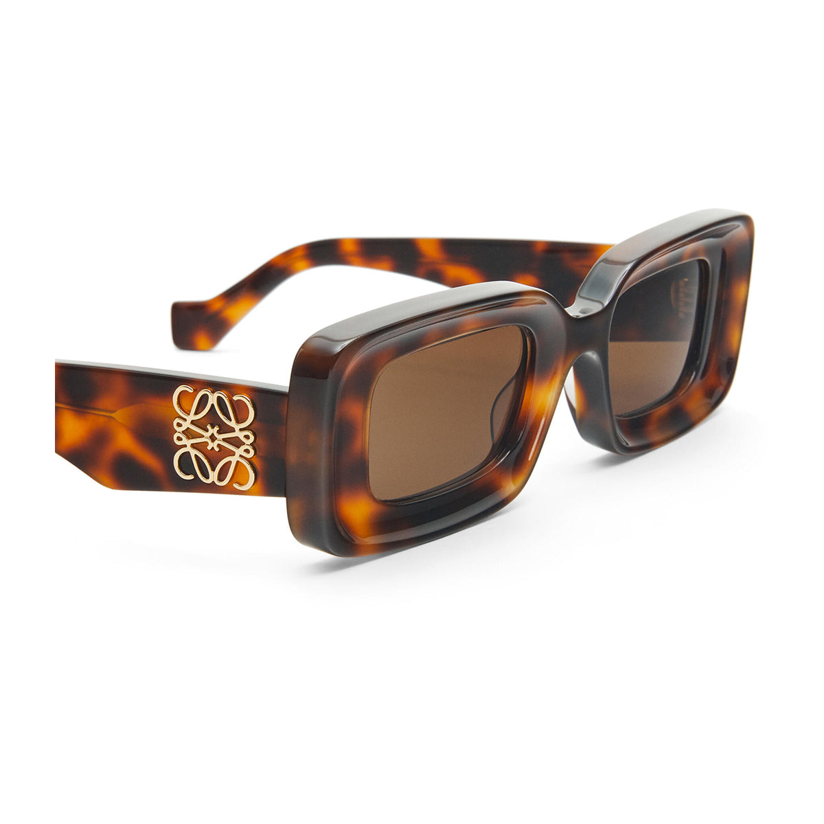LW40101I 52e Marrone Acetate Occhiali Sole