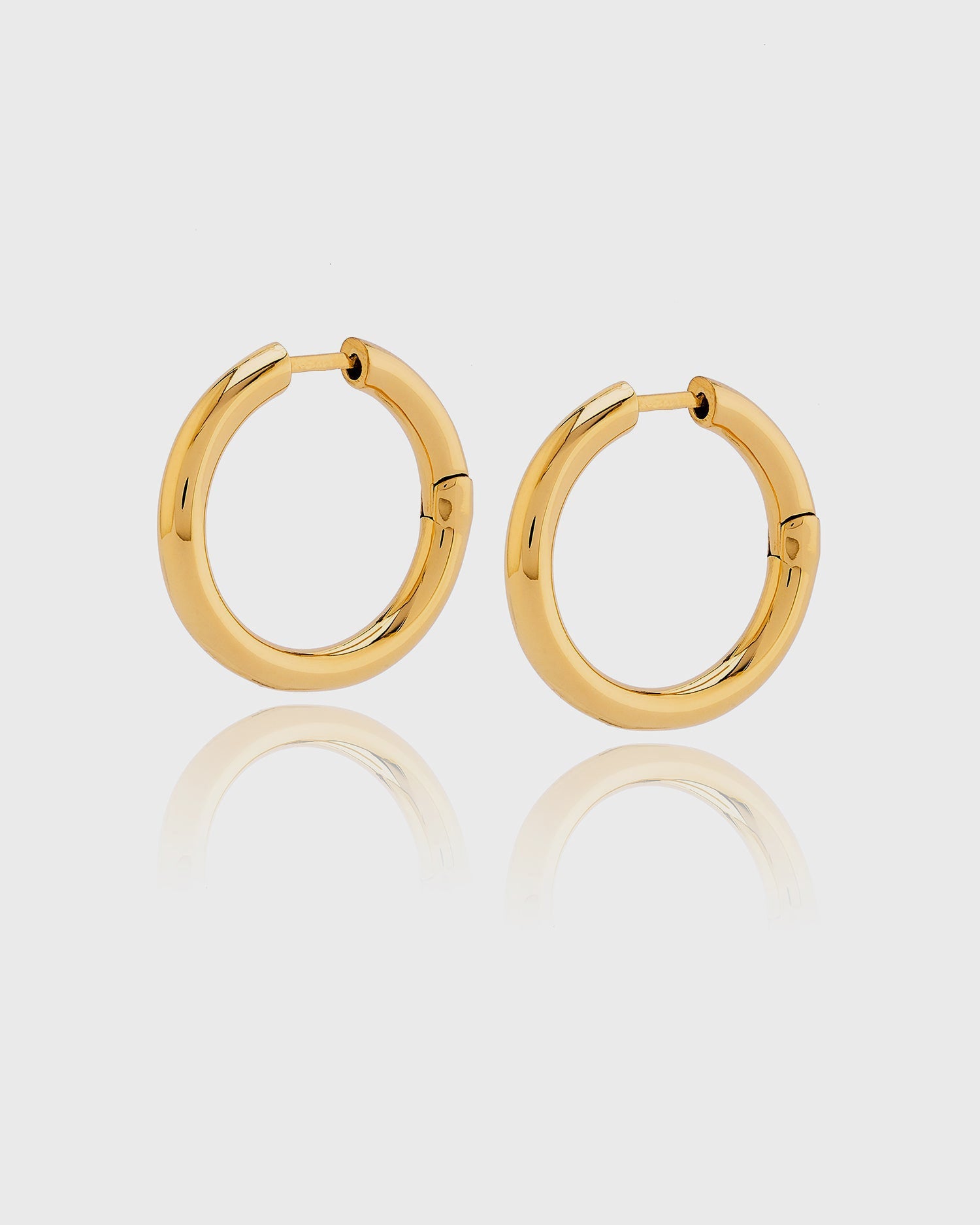 Earring Eva Gold Earrings