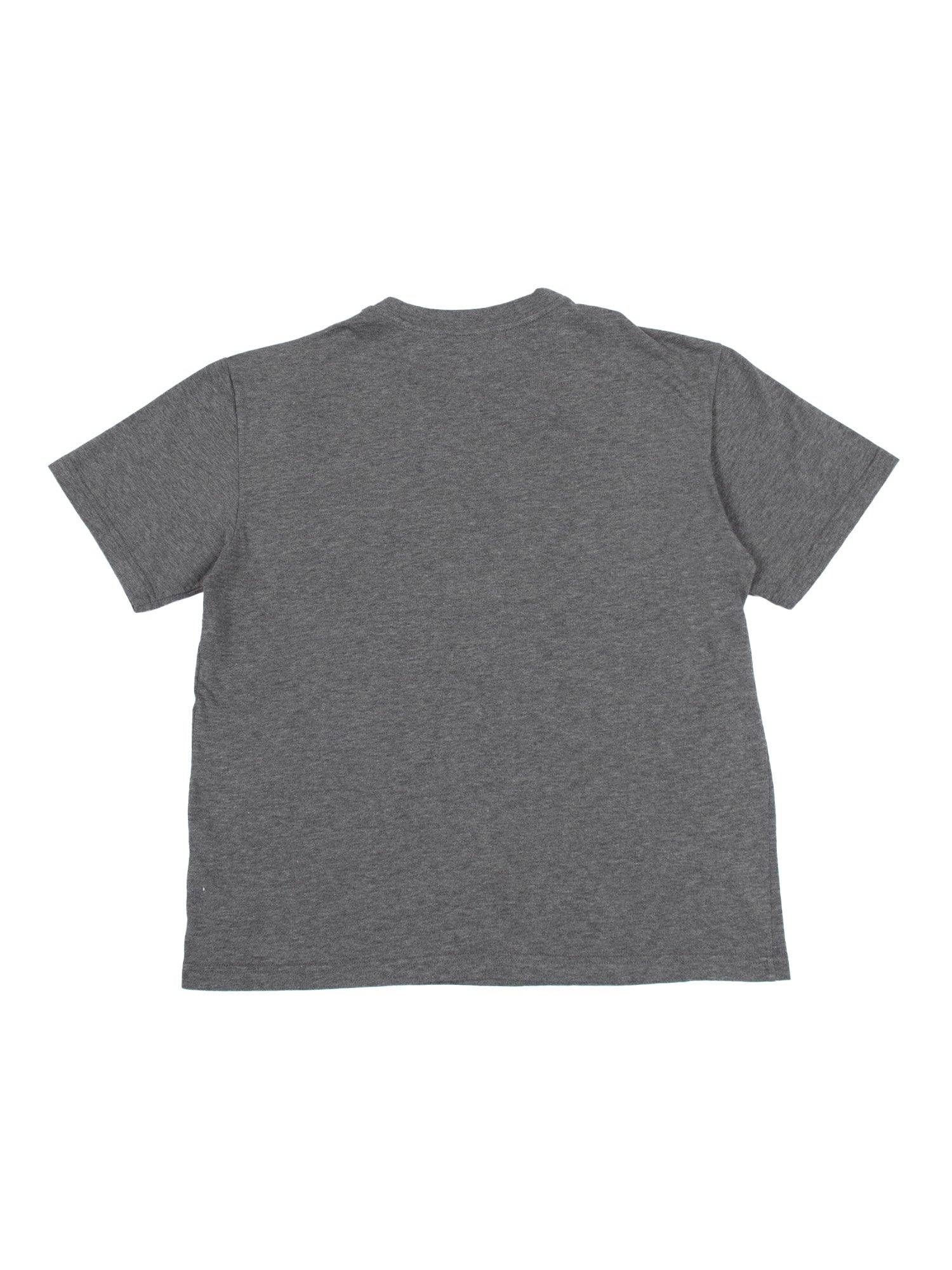 T-Shirt Grey Cotton Long Sleeves