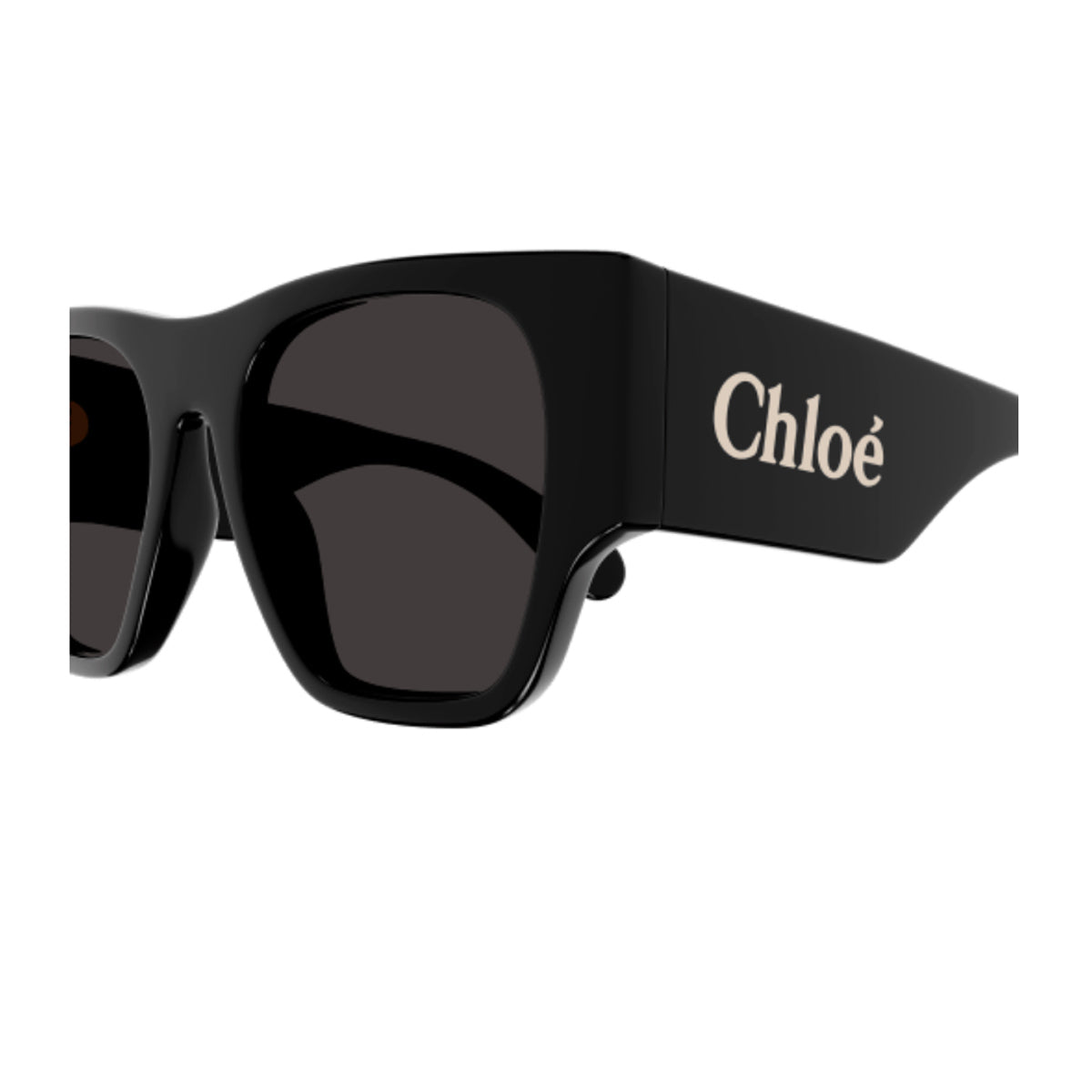 Chloé CH0233S Linea 001 Black Grey Nero Acetate Occhiali Da Sole