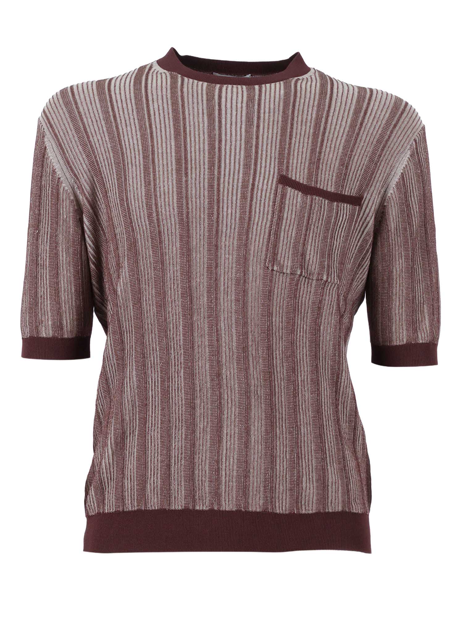 SHORT SLEEVES POLO Brown Cotton