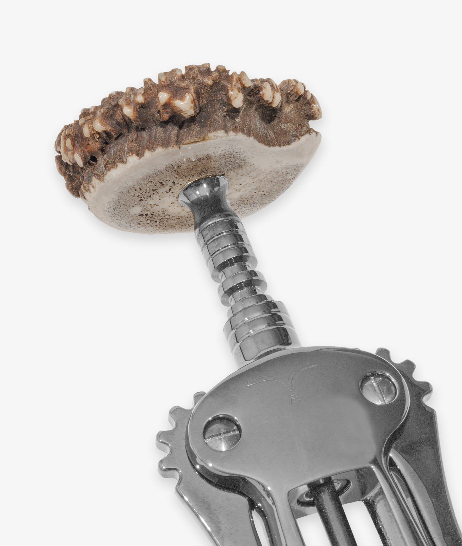 Corkscrew Nebbiolo Lightgray