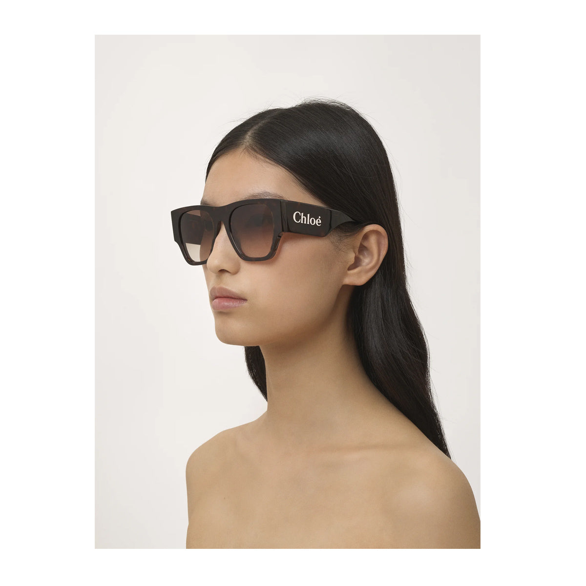 Chloé CH0233S Linea 002 Havana Brown Marrone Acetate Occhiali Da Sole