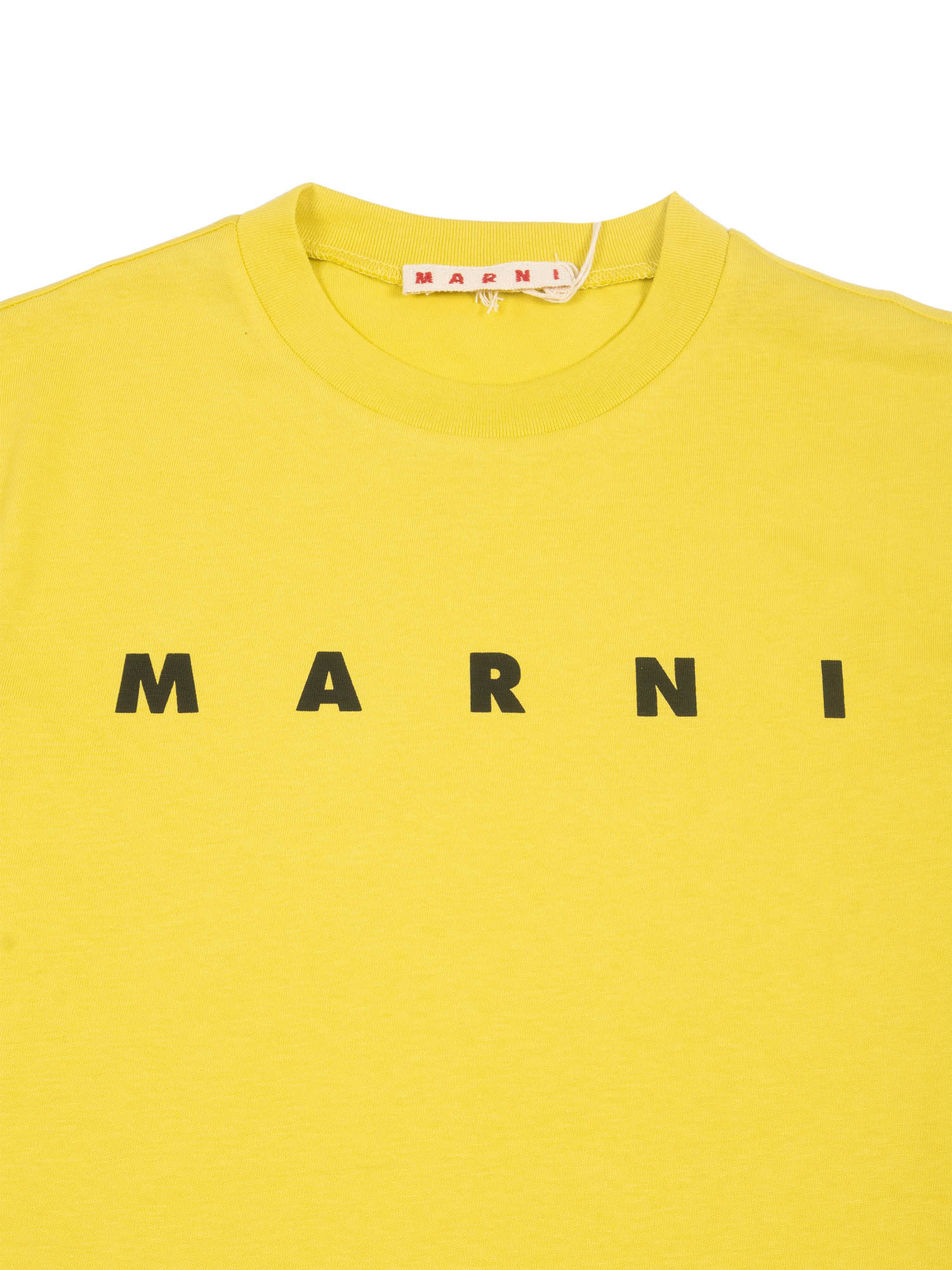 T-Shirts Yellow Cotton Short Sleeves T-shirt