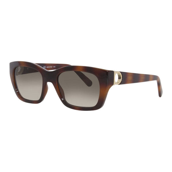 , Frame And Lens Tortoise Sunglasses