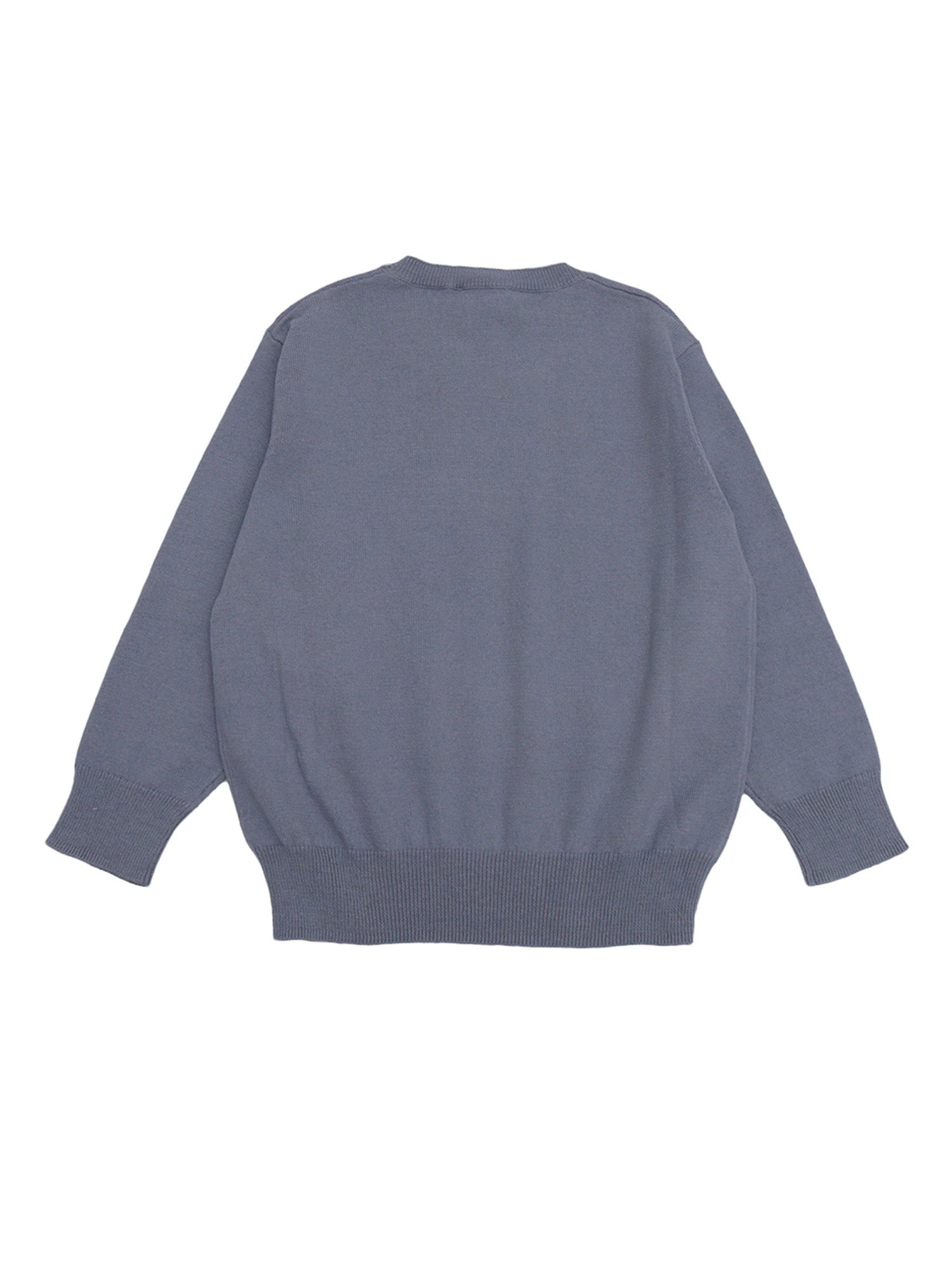 SWEATER Blue Cotton Crewneck