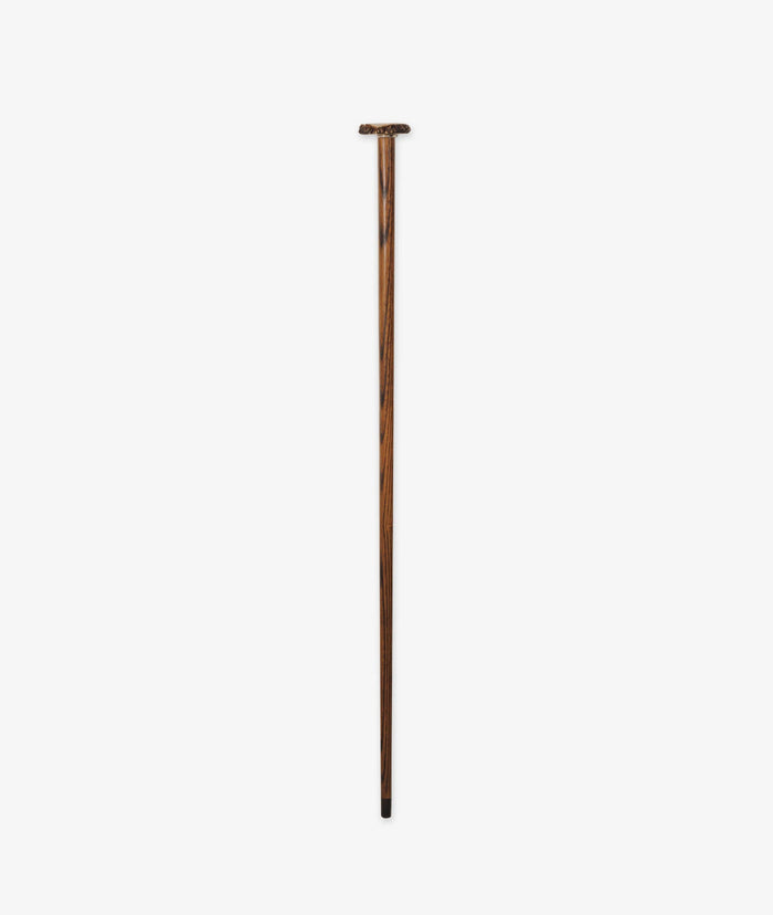 Walking Stick Brummell Brown Sticks